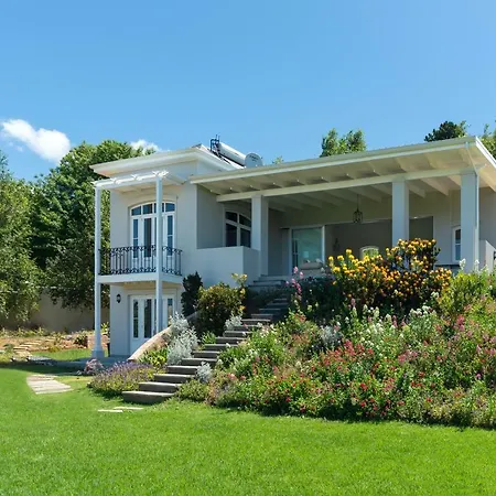 Le Vine Constantia Villa Cape Town Exterior photo