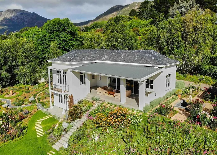Le Vine Constantia