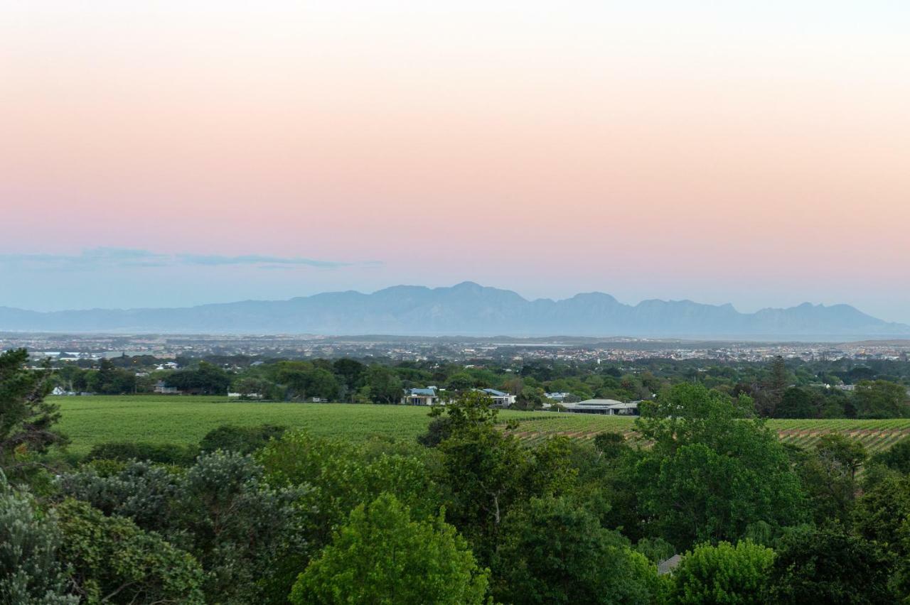 Le Vine Constantia Holiday home